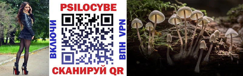 Псилоцибиновые грибы GOLDEN TEACHER  KRAKEN сайт  Мезень 
